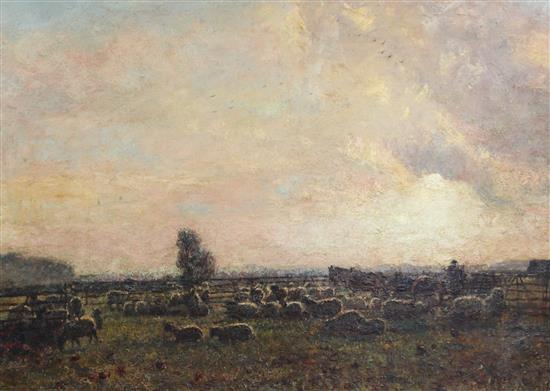 James Buxton Knight (1842-1908) Sheep in pasture 25 x 34in